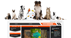 Desktop Screenshot of chameleonu.com