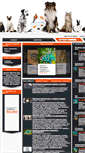 Mobile Screenshot of chameleonu.com