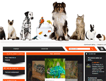 Tablet Screenshot of chameleonu.com